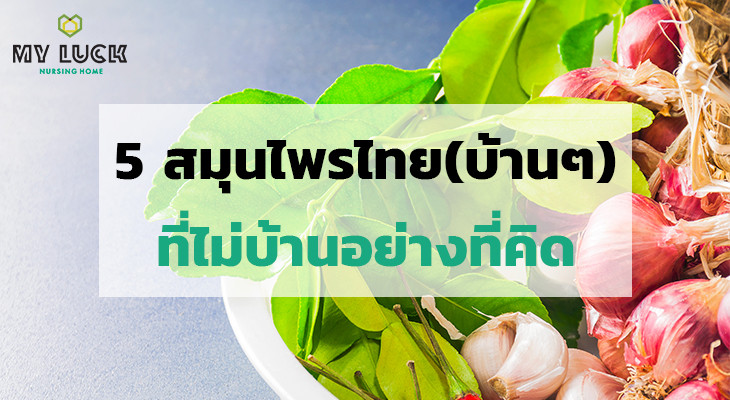 5 สมุนไพรไทย(บ้านๆ) ที่ไม่บ้านอย่างที่คิด